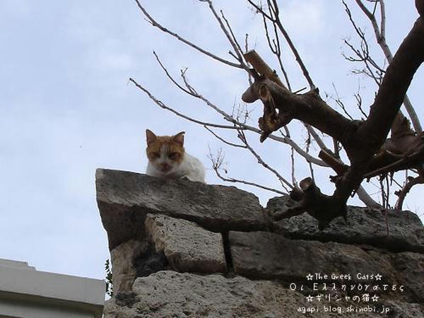 写真の無断転用転載禁止