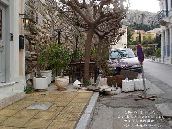 写真無断転用転載禁止