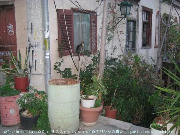 Copyright(c)2004~2008 Agapyon　All Rights Reserved写真無断転用転載禁止