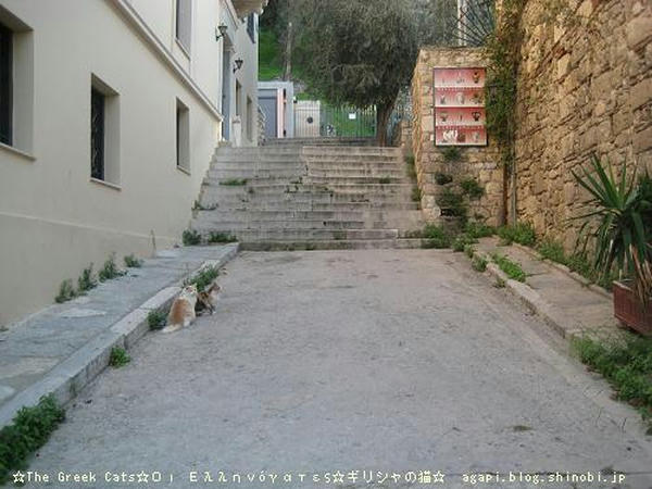 Copyright(c)2004~2008 Agapyon　All Rights Reserved写真無断転用掲載禁止