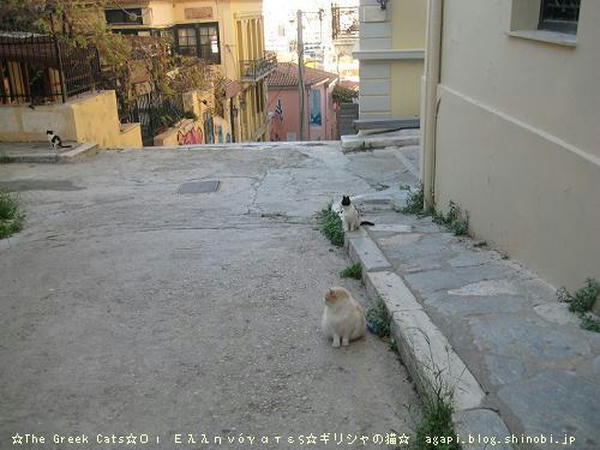 Copyright(c)2004~2008 Agapyon　All Rights Reserved写真無断転用掲載禁止