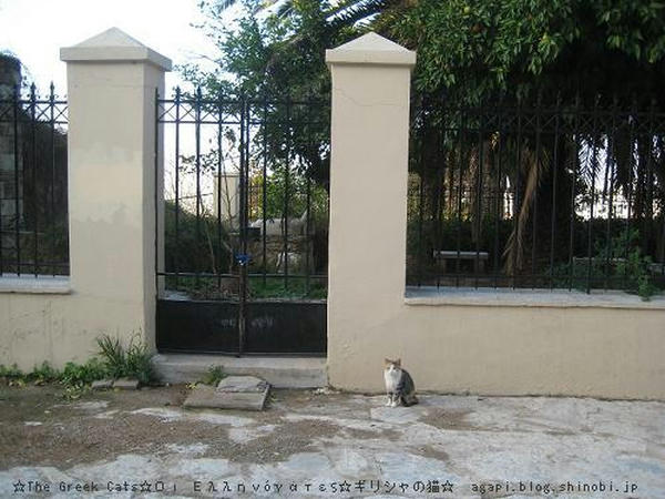 Copyright(c)2004~2008 Agapyon　All Rights Reserved写真無断転用掲載禁止