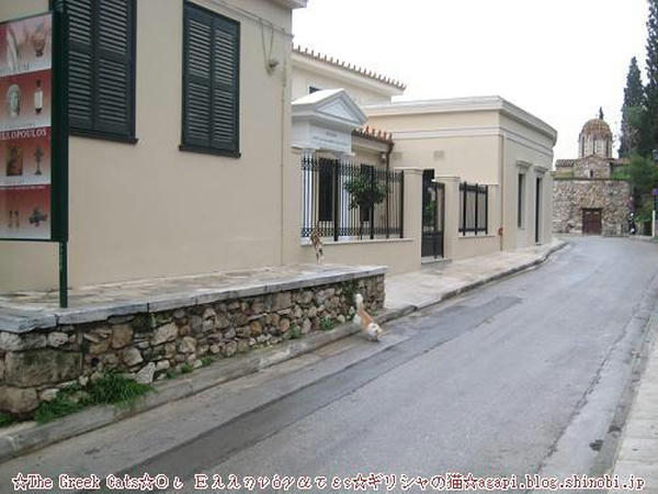 Copyright(c)2004~2009Agapyon　All Rights Reserved写真無断転用掲載禁止