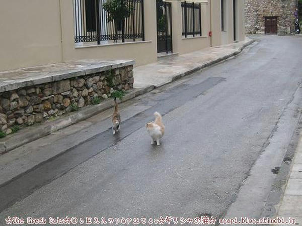 Copyright(c)2004~2009Agapyon　All Rights Reserved写真無断転用掲載禁止