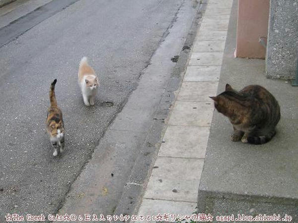 Copyright(c)2004~2009Agapyon　All Rights Reserved写真無断転用掲載禁止