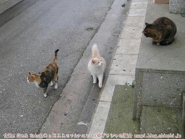 Copyright(c)2004~2009Agapyon　All Rights Reserved写真無断転用掲載禁止