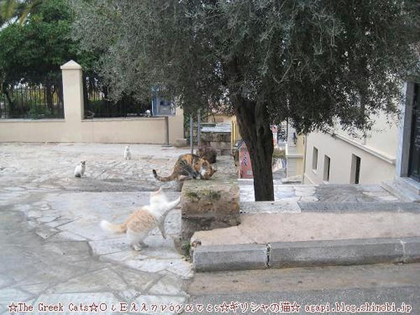 Copyright(c)2004~2009Agapyon　All Rights Reserved写真無断転用掲載禁止