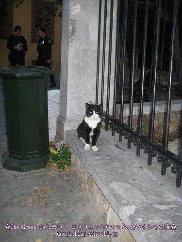 Copyright(c)2004~2008 Agapyon　All Rights Reserved写真無断転用転載禁止