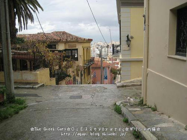 写真無断転用掲載禁止 Copyright(c)2004~2008 Agapyon　All Rights Reserved