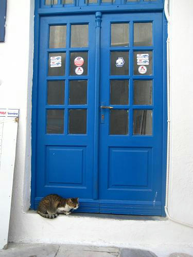 ミコノス島の青いドアの前にいたにゃんこさん ギリシャの猫 The Greek Cats Oi Ellhnogates