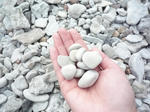 白く丸くなった石がいっぱい