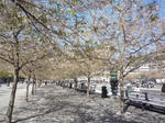 王立公園