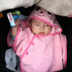 つり輪（？）に掴まりながら眠るアン子