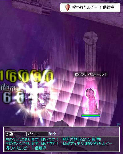 20090226-6_DOP6MVP.jpg