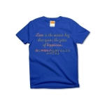 Loveisthemasterkey7 41909_royalblues
