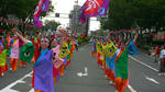 SANY8868.jpg