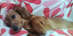 20100328102705.jpg