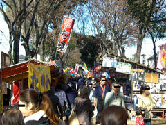 氷川神社参道2
