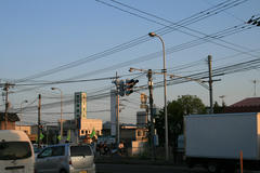 IMG_4529.JPG