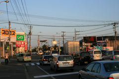 IMG_4530.JPG
