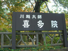 CIMG2608.JPG