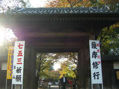 CIMG2617.JPG