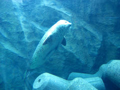 IMG_5317.JPG