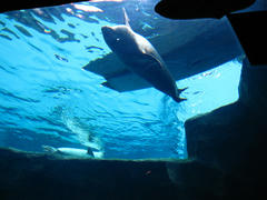 IMG_5321.JPG