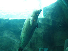 IMG_5335.JPG