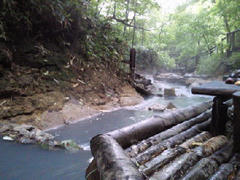 201109050934000.jpg