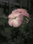 08122402.jpg