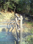 09012108.jpg