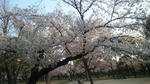 09040701.jpg