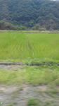 09063002.jpg