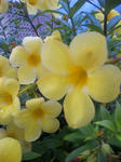 09070819.JPG