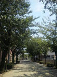 09080603.jpg