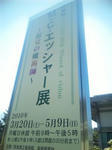 10040905.jpg