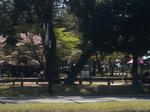 10041201.jpg