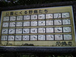 10050702.jpg