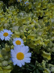 10050705.jpg
