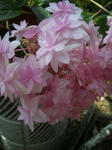 10050707.jpg