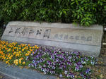 10050711.jpg