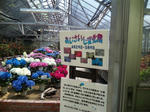 10050713.jpg