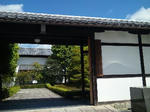 10051512.jpg
