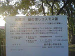 10111701.jpg