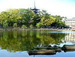 240px-Sarusawaike01.jpg