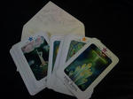 2011101912.jpg