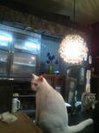 2011102304.JPG