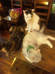2011102306.JPG