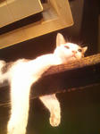 2011102310.JPG